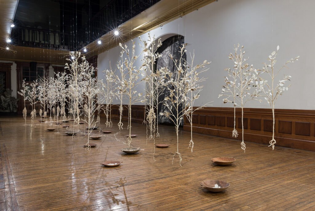 Sueño con Jardines de Coca