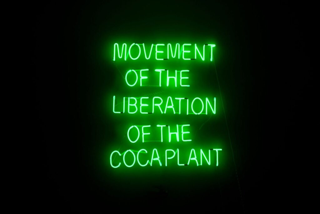 Movement for the Liberation of the Coca Plant